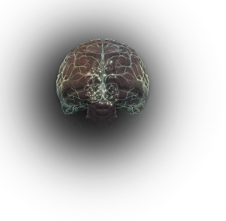 Falling dopamine levels in the brain