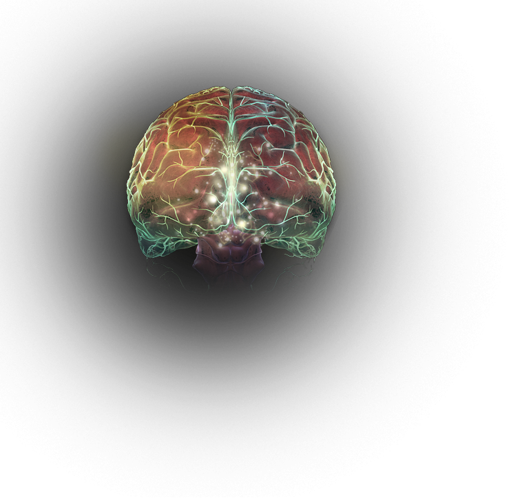 Effect of food on dopamine levels in the brain