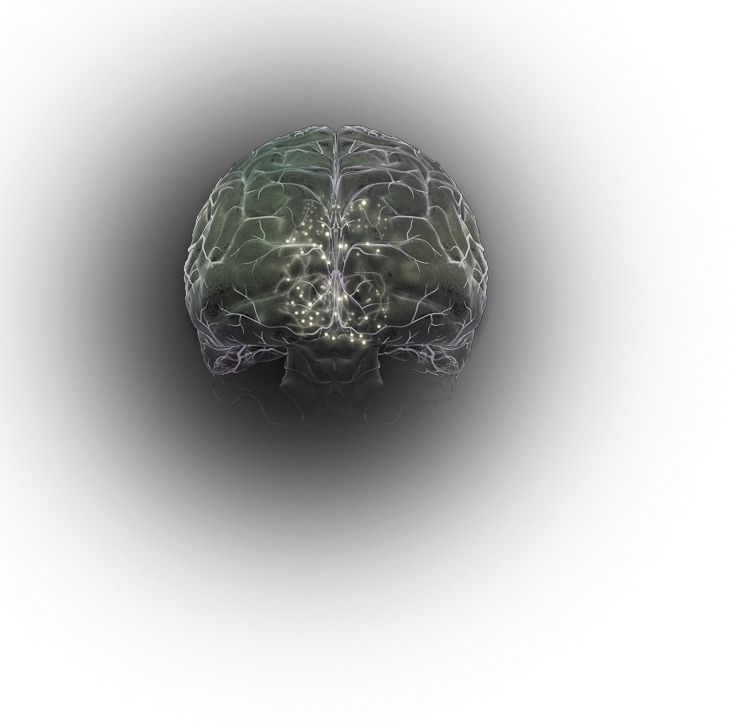 Falling dopamine levels in the brain