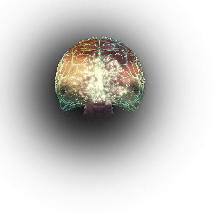 Effect of meth on dopamine levels in the brain