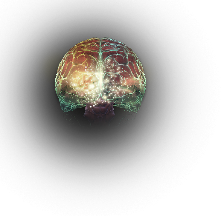 Effect of sex on dopamine levels in the brain