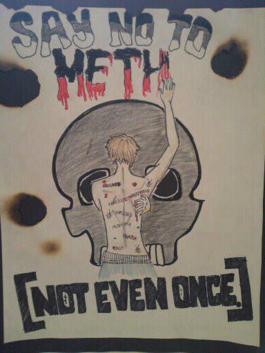 This artwork was submitted by Dyanarra B. from UMHC for the Hawaii Meth Project Take a Stand Against Meth Art contest. Dyanarra credits this page http://www.methproject.org/answers/what-are-crank-bugs.html#Ashleys-Story as inspiration. 